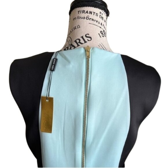 NWT Alexia Admor Womens Size 8 Colorblock Scuba Knit Sheath Mini Dress NEW - Picture 7 of 7
